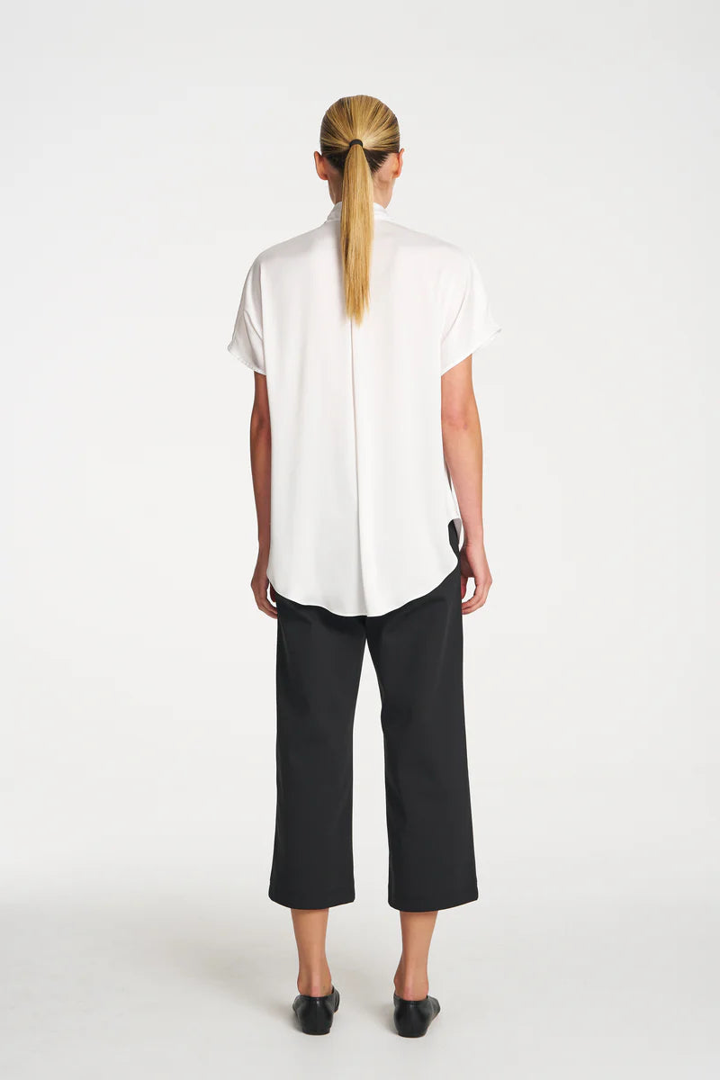 Scallop Tank