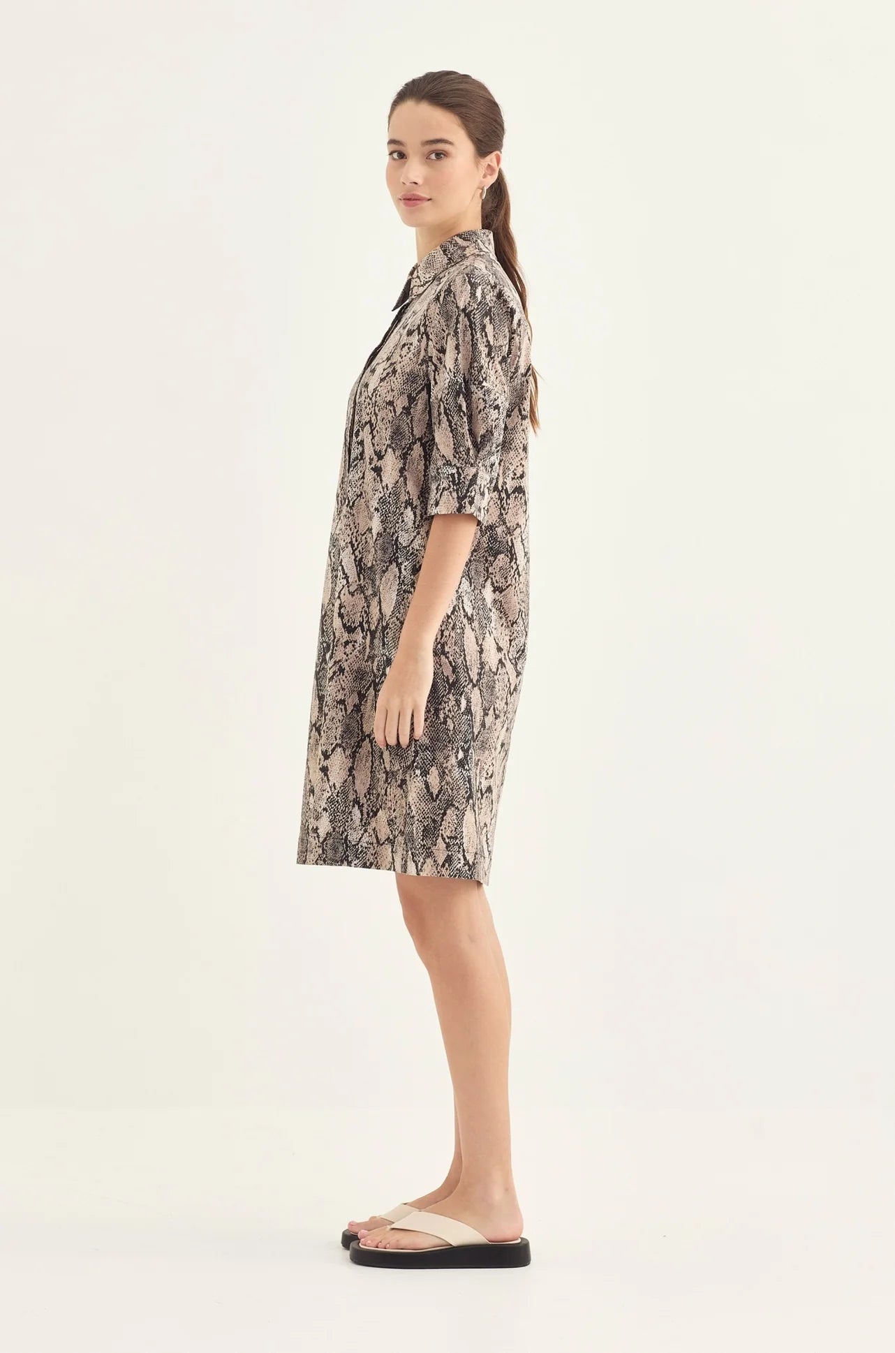 Acrobat Serpent Nori Dress