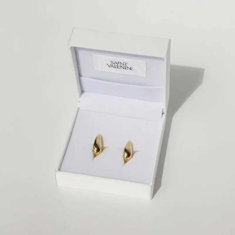 Paolo Hoops Saint Valentine
